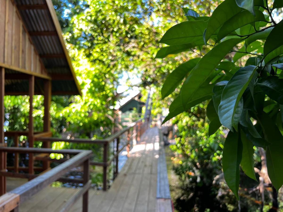 Amazonia Lodge Exxperience Paricatuba Ngoại thất bức ảnh