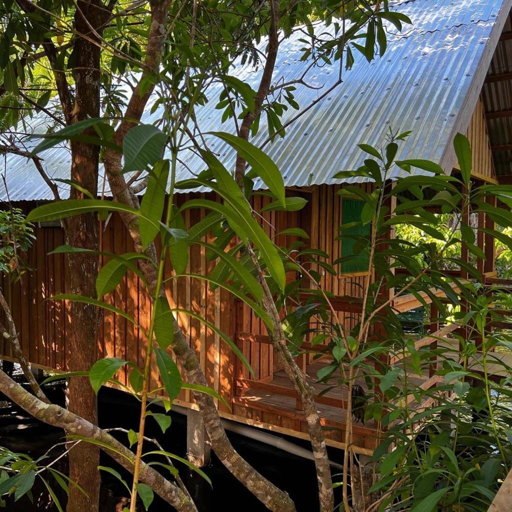Amazonia Lodge Exxperience Paricatuba Ngoại thất bức ảnh