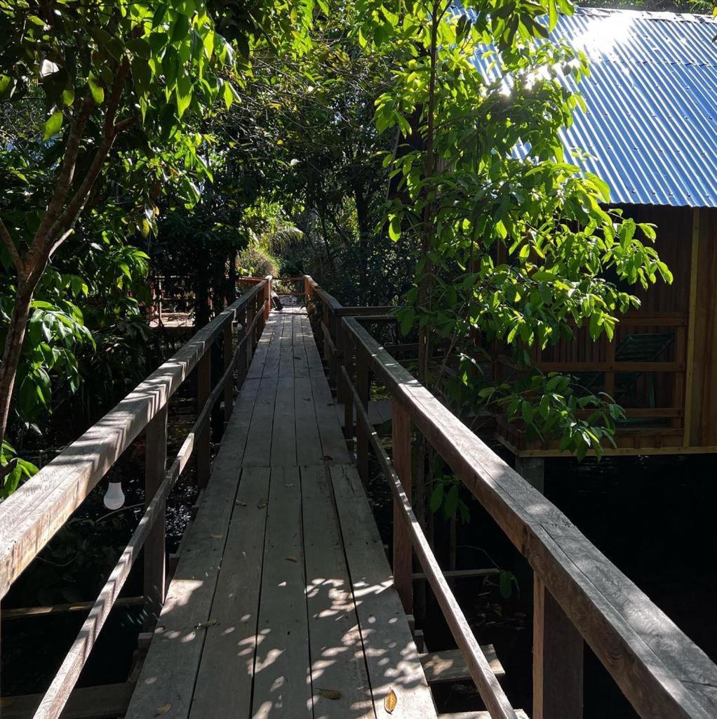 Amazonia Lodge Exxperience Paricatuba Ngoại thất bức ảnh